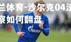 米兰体育-沙尔克04法师观察如何翻盘