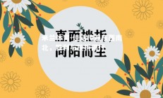 米兰体育-佳话传遍东西南北，胜利与挫折同行